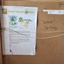 Vincent  Lambe REDUCED. No offers tks. Image 4