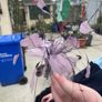 hair accessories Image 6