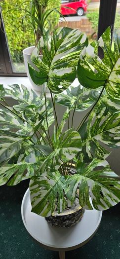 Artificial monstera