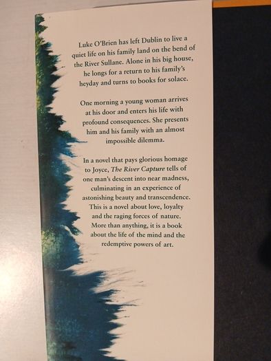 The River Capture by Mary Costello