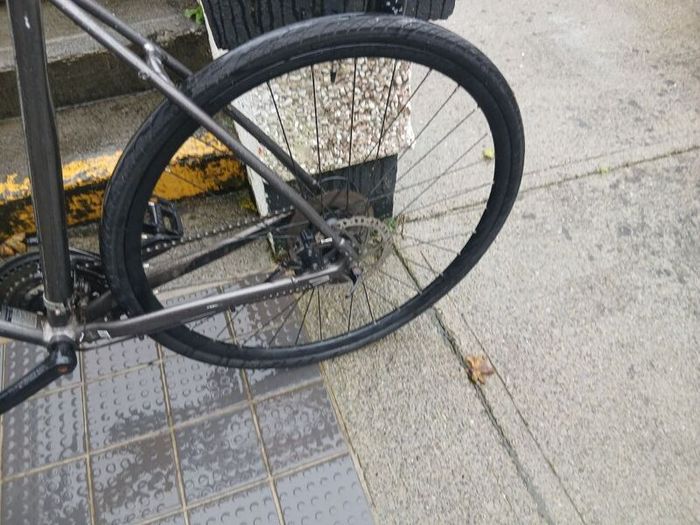 Adults Bike