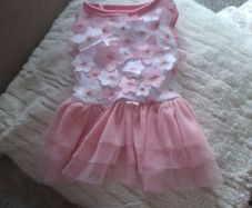 Dog dress