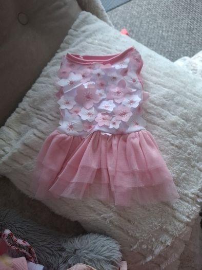 Dog dress