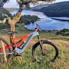 Specialised Levo Carbon Comp. Mountain Bike