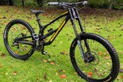 Nukeproof Dissent 290 comp