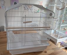 bird cage