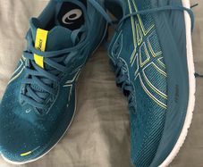 Asics mens trainers