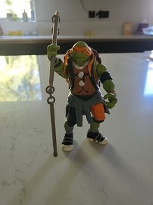 Teenage mutant ninja turtle