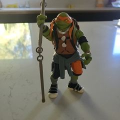 Teenage mutant ninja turtle