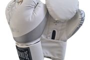 Boxing Gloves (10,12,14oz)