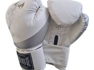 main image for ad Boxing Gloves (10,12,14oz)