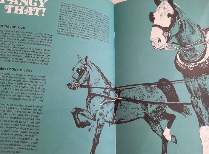 Follyfoot annual vintage1977