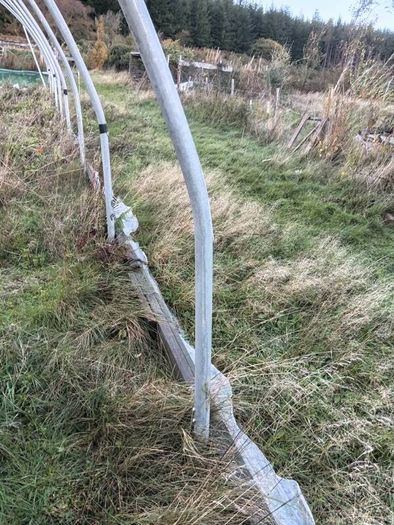 Polytunnel