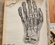 An Atlas Of Histology. By W.h. Freeman And Brian Bracegirdle. Second Edition Large Volume Hardback With Dustjacket.  Book In Good Condition.  Dustjacket Tatty.  See Photos For Same.
