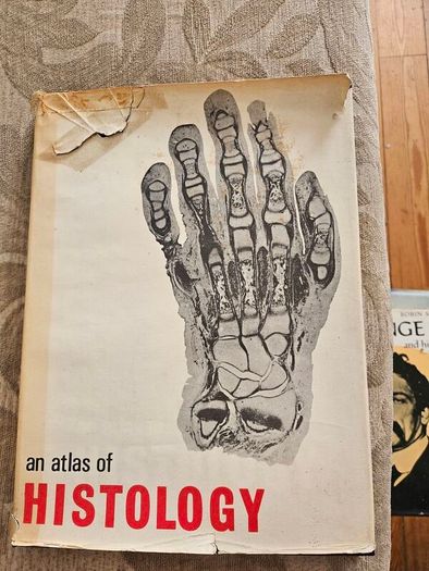 An Atlas Of Histology. By W.h. Freeman And Brian Bracegirdle. Second Edition Large Volume Hardback With Dustjacket.  Book In Good Condition.  Dustjacket Tatty.  See Photos For Same.