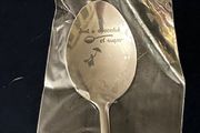 Novelty Spoon
