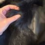 LK Benett Sheepskin Coat Image 4