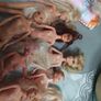 Seven Part Dressed Barbie Dolls Image 8