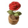 Rose Image 2