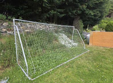 Goal Posts