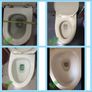 Litter Kwitter Cat Toilet Image 4