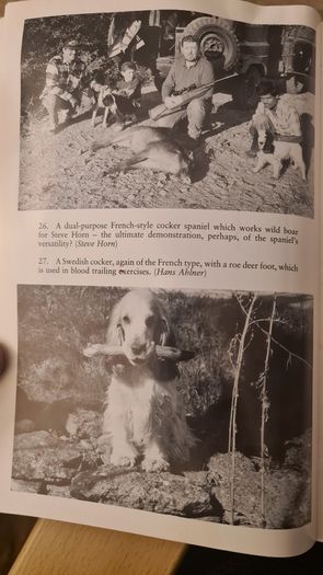 The Working Spaniel. By Keith Erlandson. FIRST EDITION. How To Choose. Train. Work. And Trial Your Dog. Hardback With Dustjacket In Good Condition.