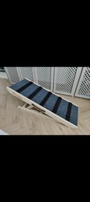 Pet ramp
