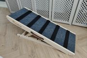 Pet ramp
