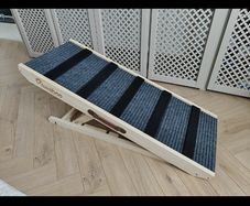 Pet ramp