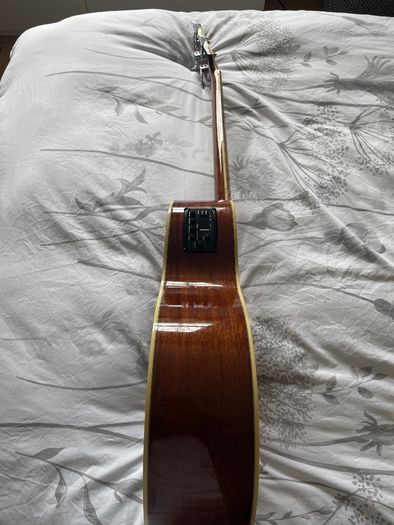 Richwood Artist Series Acoustic Bass Guitar