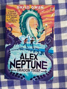 Usborne - Alex Neptune Dragon thief