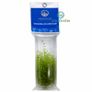 LEAFOLAB AQUARIUM PLANTS - free from snails, algae, and pathogens. Image 10