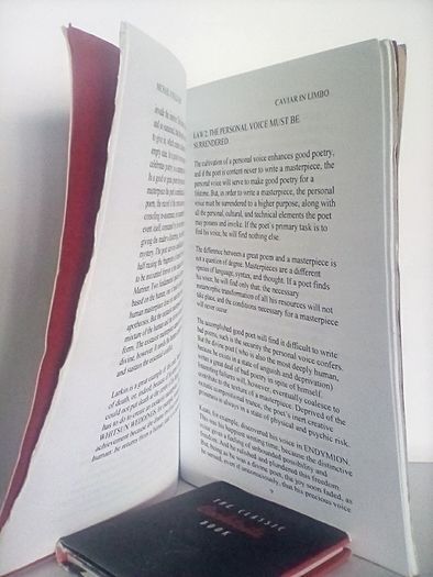 Caviar in Limbo: How to Read A Poetic Masterpiece by Michael O'Sullivan (Signed and Inscribed by The Author) (HQ418)