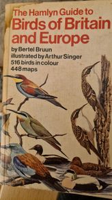 Birds Of Britain And Europe. The Hamlyn Guide. By Bertel Bruun. Illustrated By Arthur Singer. 516 Birds In Colour & 448 Maps. Paperback In FAIR CONDITION. 32..