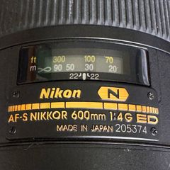 Af-s Nikkor 600mm 1:4g Ed