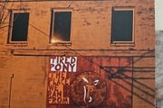 Tired Pony CD - The Place We Ran From