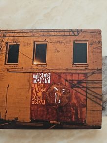 Tired Pony CD - The Place We Ran From