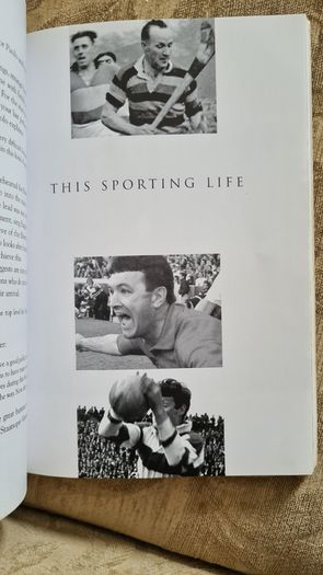 Passing Through. By Declan HASSETT. FIRST EDITION. Paperback In Good Condition.