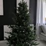 Xmas tree Image 5