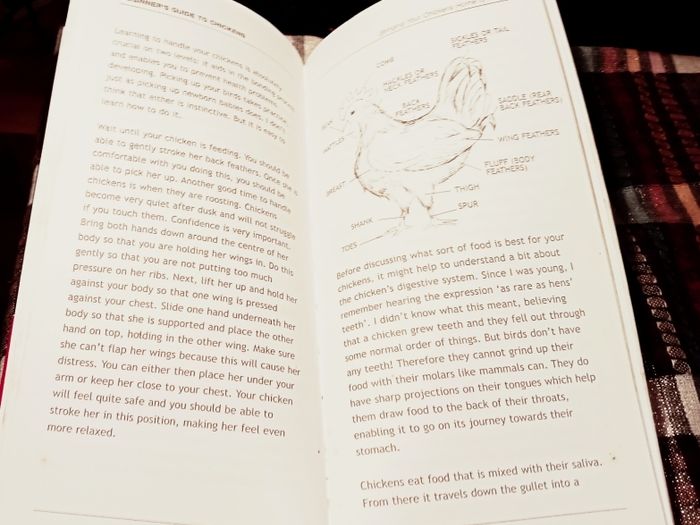 2010. Lee Faber  Beginner's Guide To Keeping Chickens