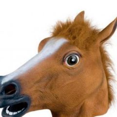horse head mask