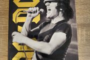 The Lives of Brian by Brian Johnson