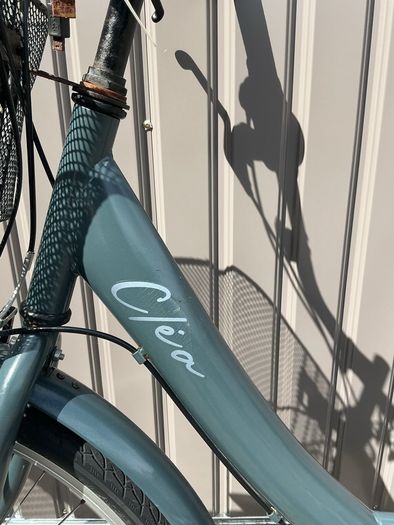 Adult Cleia Bike