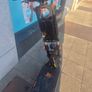 electric scooter g4 max Image 3