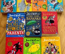 David Walliams Book Bundle