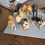 Dog collection plastic Image 2