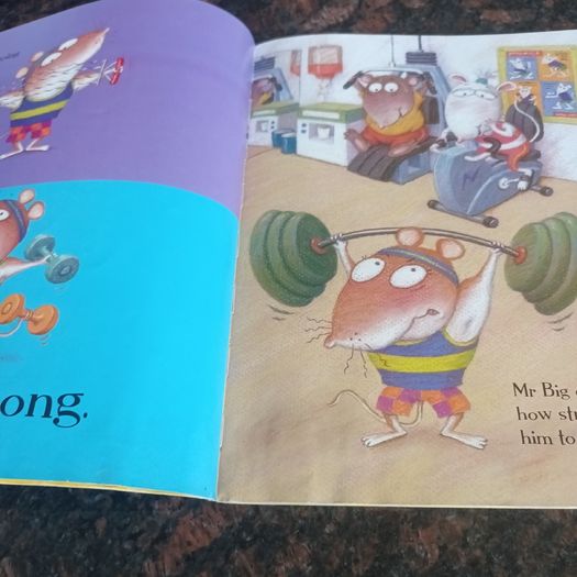 Mr Strongmouse and the Baby