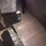 E-scooter Image 2