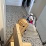 wooden stand Image 2