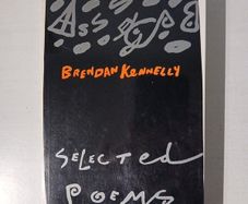 Selected Poems by Brendan Kennelly